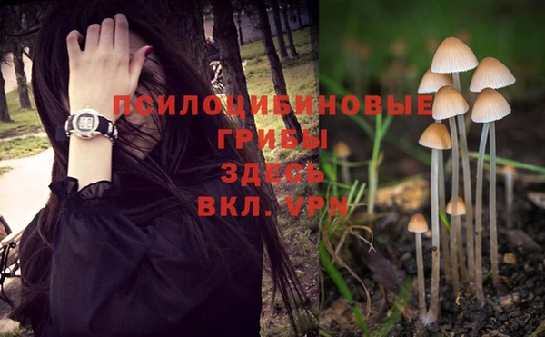 не бодяженный Балахна