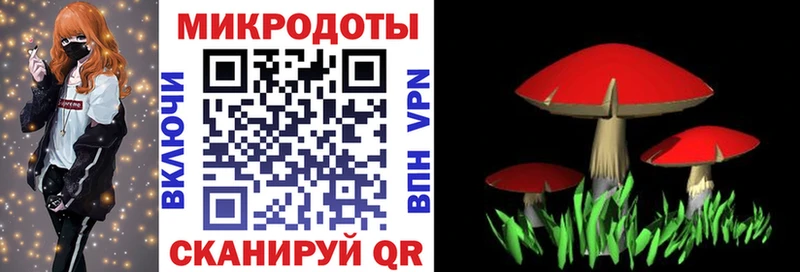 Галлюциногенные грибы мицелий сколько стоит Лахденпохья